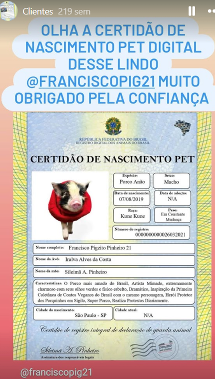 Foto do pet do depoimento