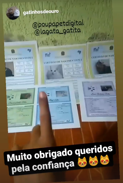 Foto do pet do depoimento