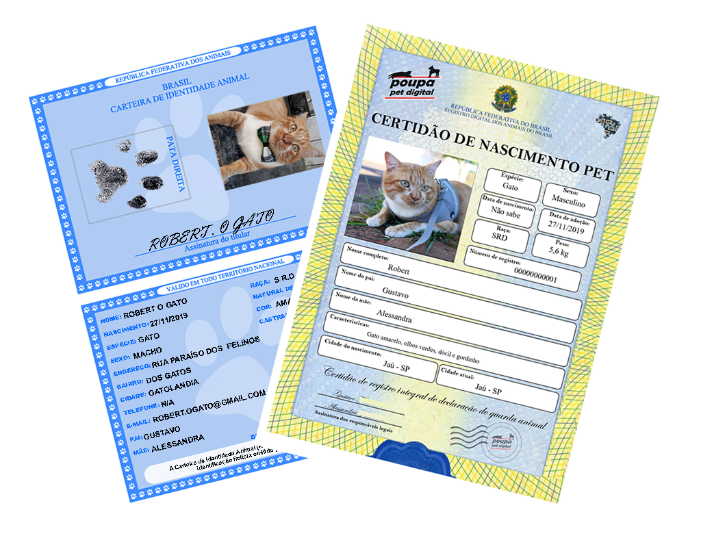 RG Pet Personalizado