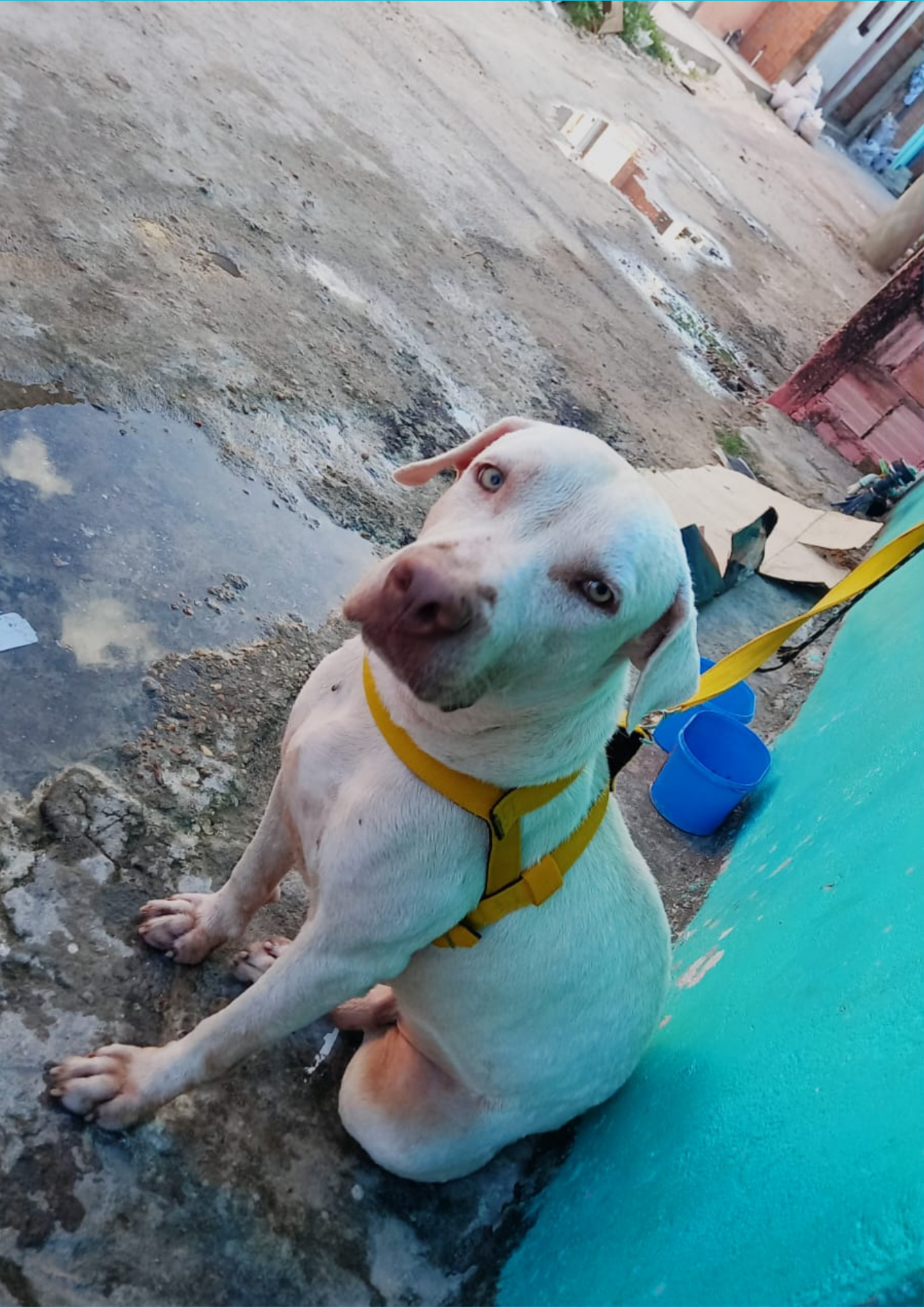 Foto de Marley Nascimento Reis 